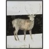 L ART "WHITE BUCK" CANVAS ART Wall Art