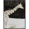 L ART "WHITE GIRAFFE" CANVAS ART Wall Art