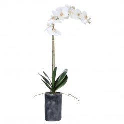 UTTERMOST ORCHID BOTANICAL IN CONCRETE PLANTER Pillows + Decor