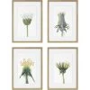 UTTERMOST Wall Art "WILDFLOWERS" GLASS FRAMED PRINTS | SET OF 4