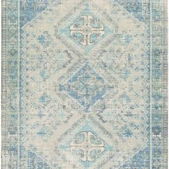 SURYA NEVAEH DISTRESSED VINTAGE PRINT RUG: AQUA